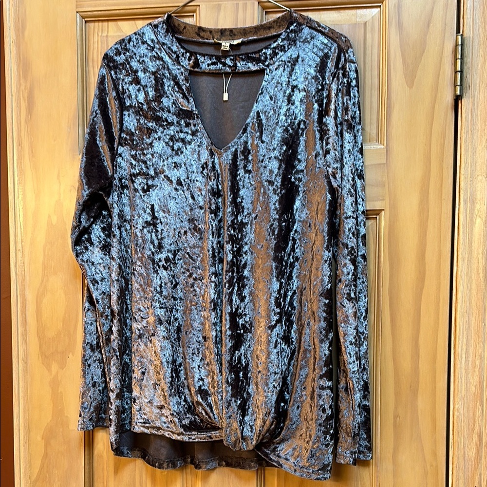 Velvet Long Sleeve Top in an iridescent silver
